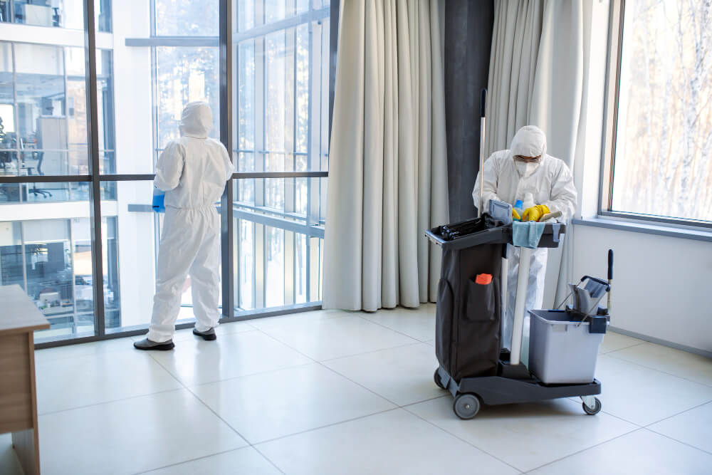 Cleaning Service